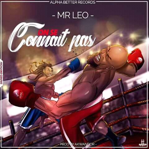 mr leo on se connait pas mp4